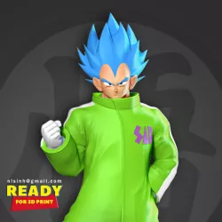 Vegeta In A Green Coat
