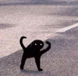 weird 2 legged cat and cursed cat