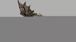 Black Dragon Kalameet Dark Souls
