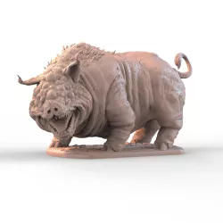 Boar