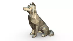 border collie dog