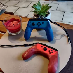 Controller for nintendo switch