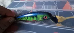 crankbait