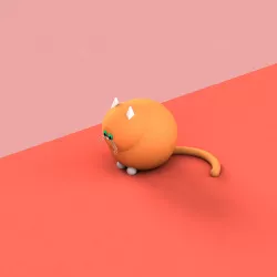 cute cat with hat