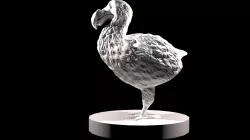 DECORATIVE DODO
