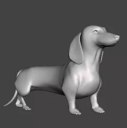 Dog #08 (no eye)