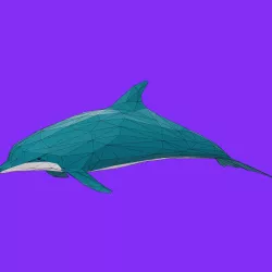 Dolphin Lowpoly 3D Print Model