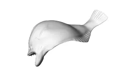 flatfish action