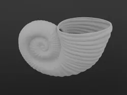 Giant Ancient Sea Snail Shell Planter [COMMERCIAL LICENSE]