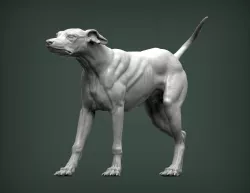 greyhound dog 3D print model