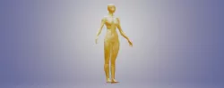Human Base Mesh