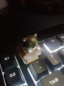 keycap cat