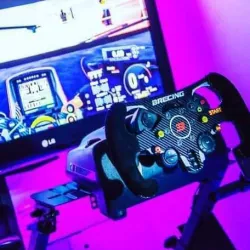 Logitech G29/923 F1 mod