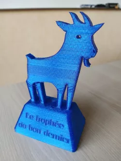 MPG Trophy (my little lawn) / Thophy