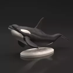 Orca