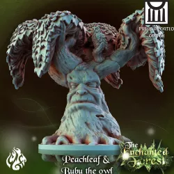 Peachleaf & Bubu the Owl