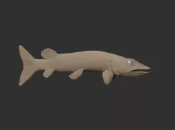 Pike fish