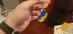 Programming Keychain Bundle 4 (Java + C++ + Python)