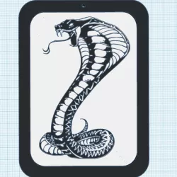 Rattlesnake with frame