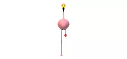 Real Flamingo
