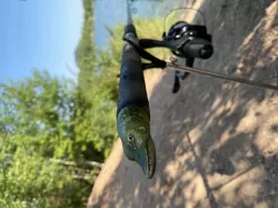 rod cap pike head