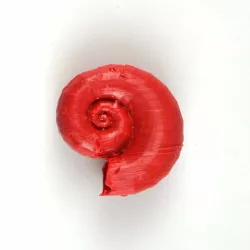 Shell pendant
