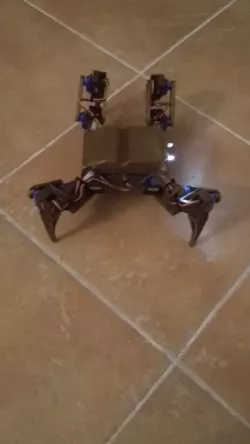 spider robot