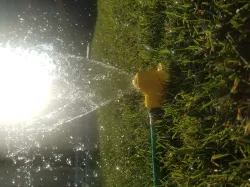 Sprinkler
