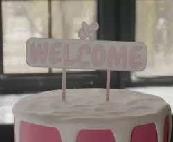 Welcome Baby Cake Top Pacifier I