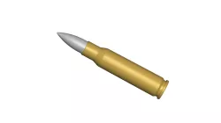 .308 bullet