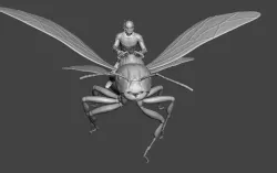 Antman