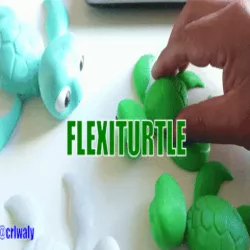 ARTICULATED LITTLE TURTLE - FLEXI PRINT-IN-PLACE ARTICULATED TURTLE