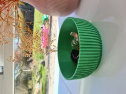 Bowl