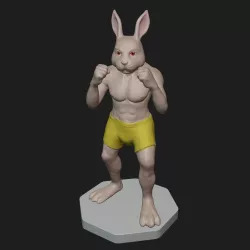 Bunny Fighter