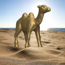 Camels