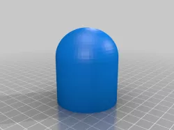 Capsule