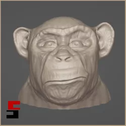 Chimpanzee Bust Head Statue Chimp