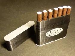 cigarette case model 3d - cigarette case