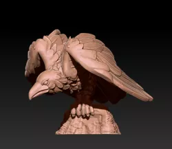 Crow