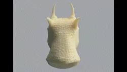 dragon head