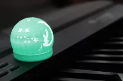 Fairy lantern
