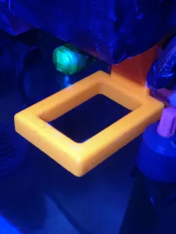 Fixed floating aquarium ring feeder - Anillo alimentación acuario fijo y flotante