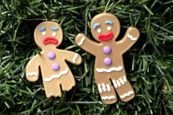 gingerbread shrek gingerbread man christmas
