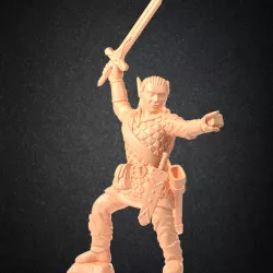 High Elf Paladin RPG Miniature STL pre-supported
