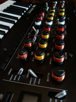 KORG ring for knob => Minilogue / Monologue / Prologue etc...