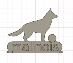 malinois