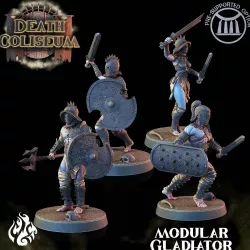 Modular Gladiators