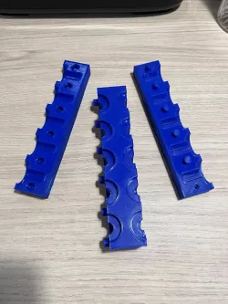MOLD PLOT CORAL CUTTINGS AQUARIUM