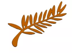 Palm