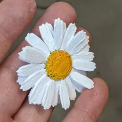 Realistic Daisy for hair or adornment